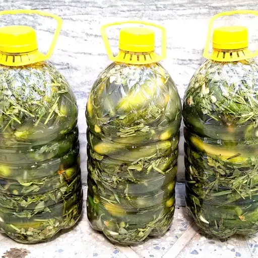 خیارشور ارگانیک