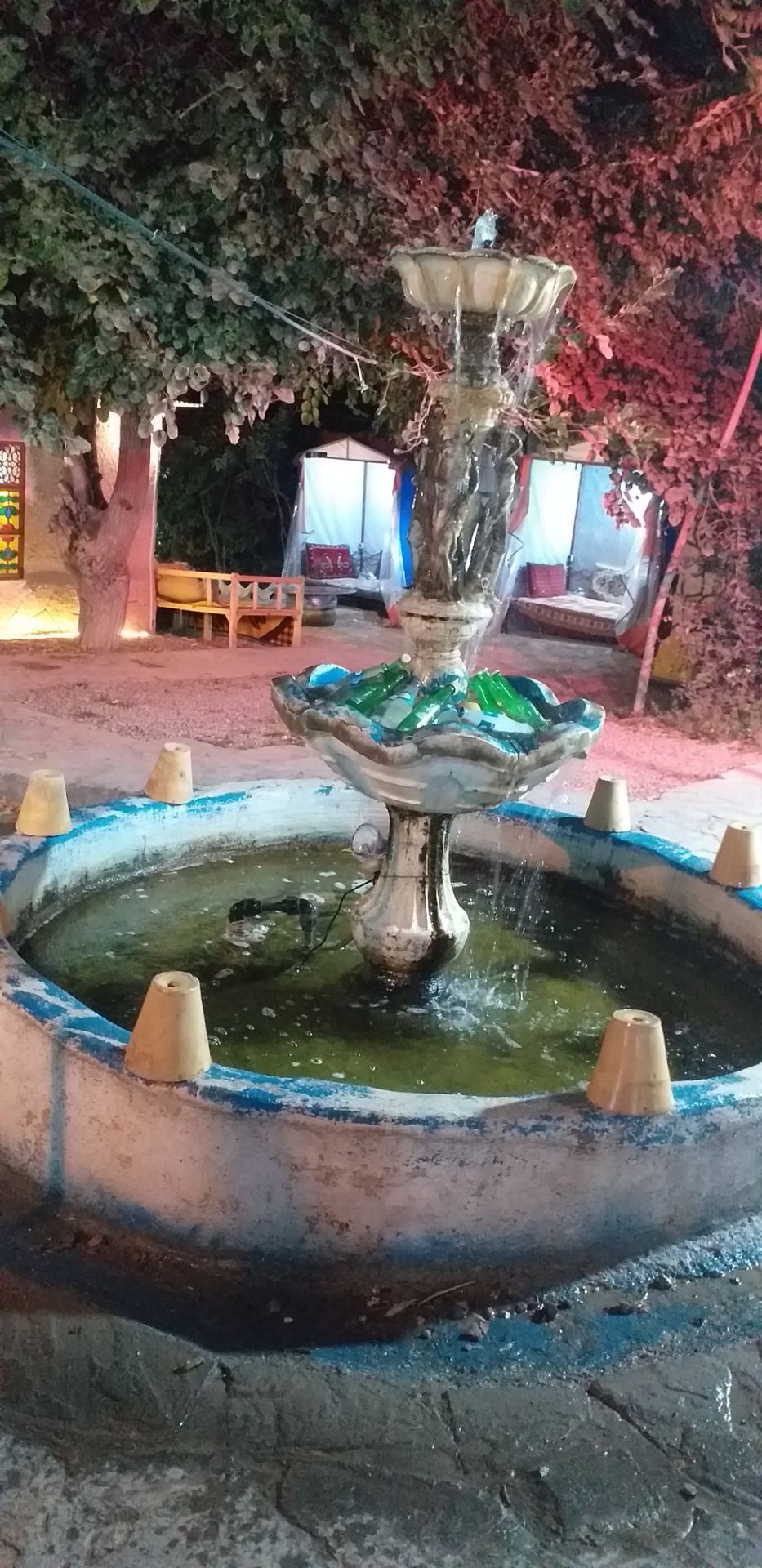 به یک نفر نیرو خانم