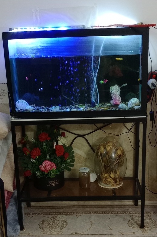 اکواریوم سالم همراه با میز