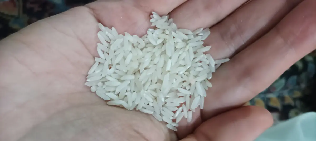 برنج