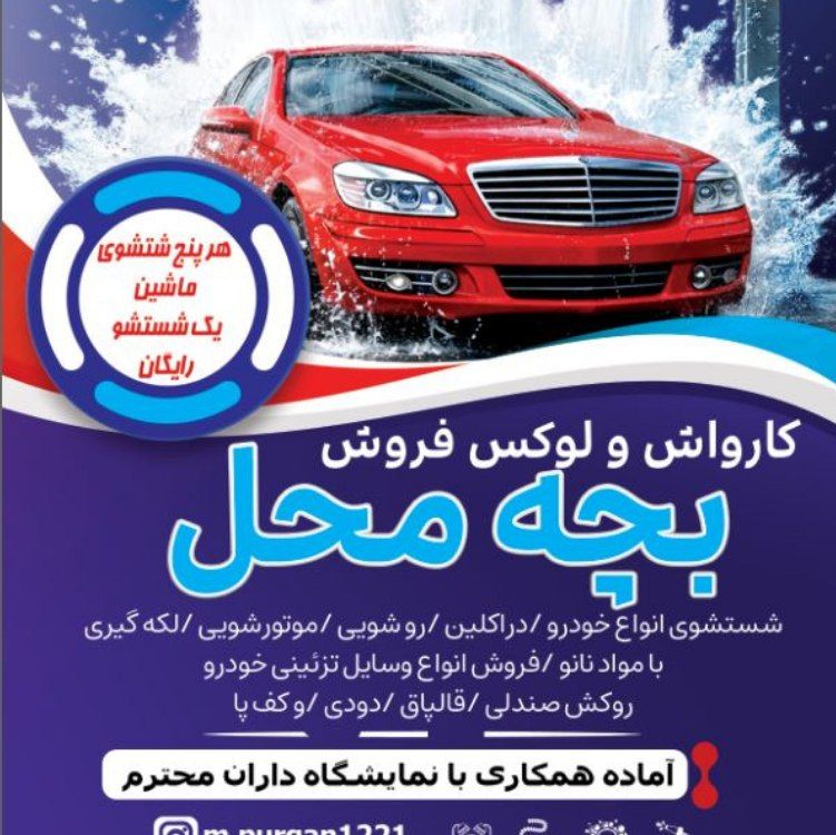 نیرو ماهر کارواش
